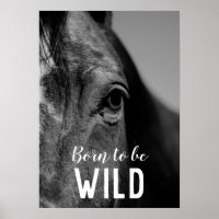 Born to be Wild Black & White Close-up Horse Eye