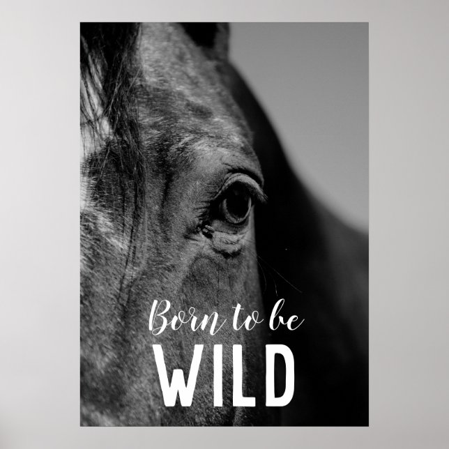 Born to be Wild Black & White Close-up Horse Eye Poster (Front)