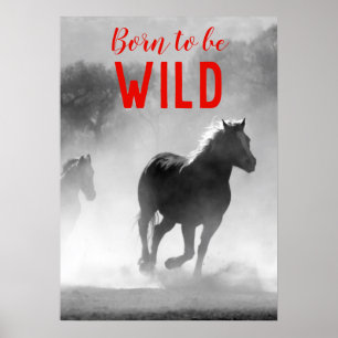 Born to be Wild Black & White Running Horses Poster