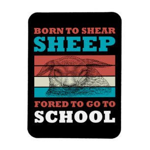 Born To Shear Sheep Forced To Go To School Goat Magnet