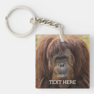 Borneo Orangutan Beautiful Photography Keychain