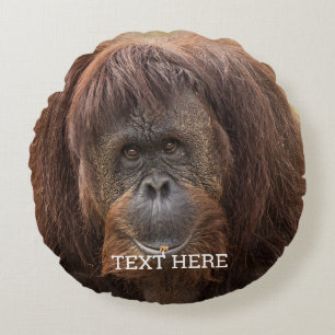 Borneo Orangutan Beautiful Photography Round Pillow