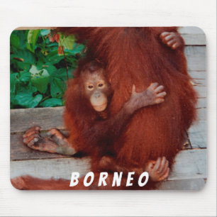 Borneo orangutan mouse pad