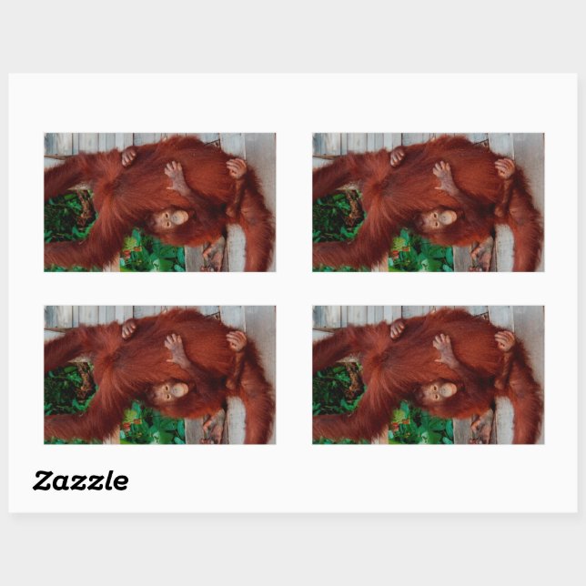 Borneo orangutan sticker (Sheet)