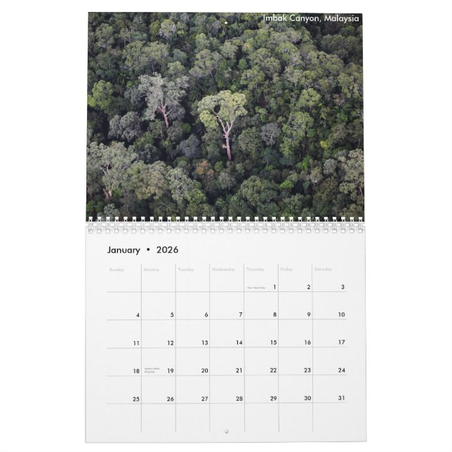 Borneo Rainforest Calendar (Jan 2026)