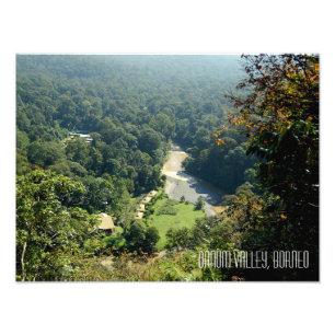 Borneo Rainforest Jungle Danum Valley Photograph