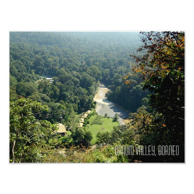 Borneo Rainforest Jungle Danum Valley Photographie (Devant)