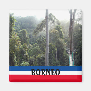 Borneo Rainforest Jungle Scenic Souvenir Photo Magnet