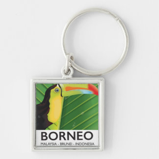 Borneo Toucan travel poster Keychain