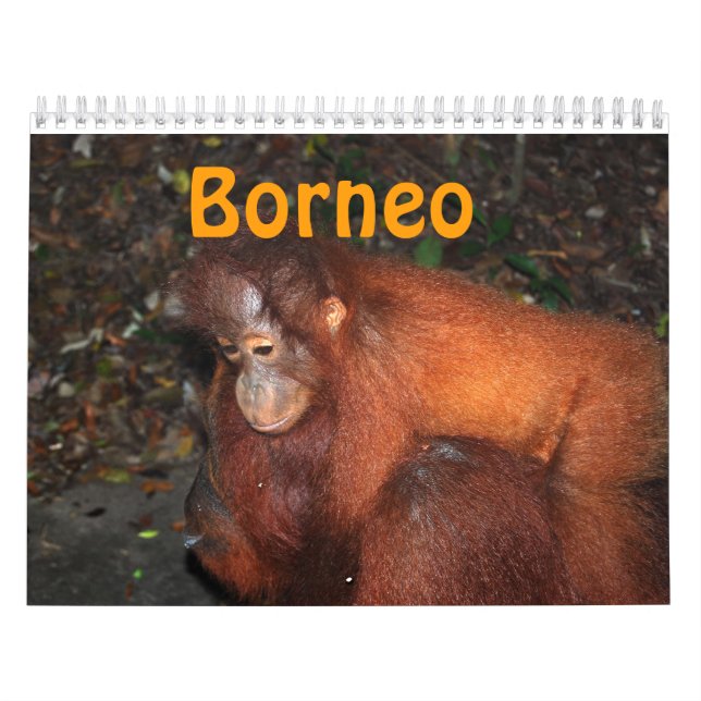 Borneo Travel and Orangutans Calendar (Cover)