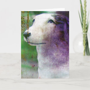 Borzoi Card