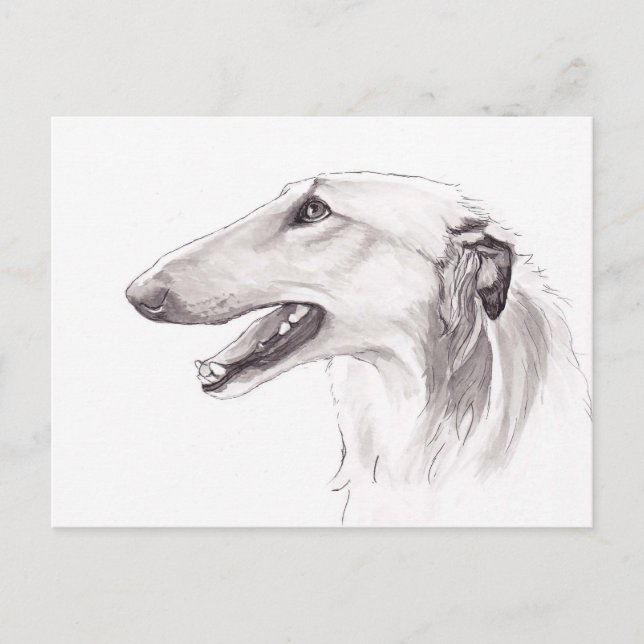 Borzoi Chien Art Ink Profil de tête Carte postale (Devant)