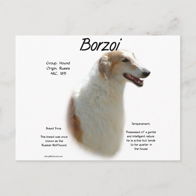 Borzoi History Design Postcard (Front)