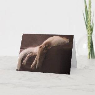 Borzoi In Repose Announcement