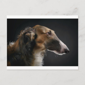 borzoi postcard