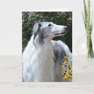 Borzoi Russian Wolfhound Dog Art Photo Card