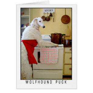Borzoi Russian Wolfhound "Wolfhound Puck" Dog