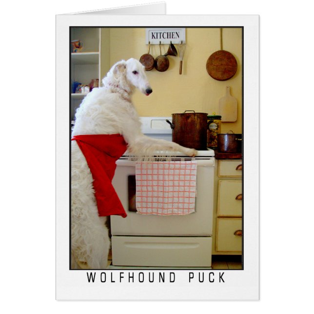 Borzoi Russian Wolfhound "Wolfhound Puck" Dog (Front)