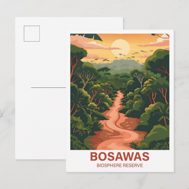Bosawas Biosphere Reserve Nicaragua Travel Postcard (Front/Back)