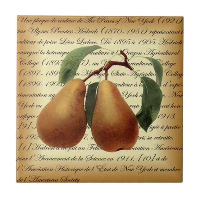 Bosc Pears~Léon Leclerc~Ulysses Prentiss Hedrick~  Tile (Front)