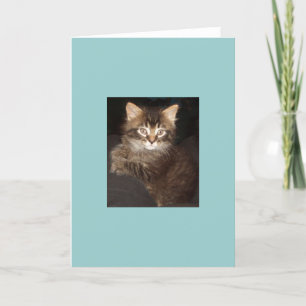 Bosco Card