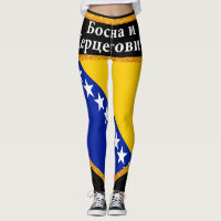 Bosnia and Herzegovina Flag