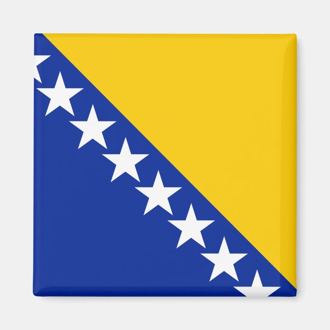 Bosnia and Herzegovina Flag Magnet (Front)