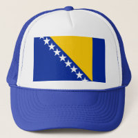 Bosnia and Herzegovina Flag
