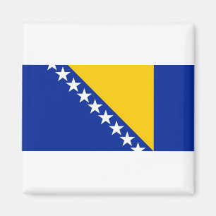 Bosnia and Herzegovina National World Flag Magnet