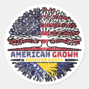 Bosnia Bosnian US American USA United States Tree Classic Round Sticker