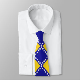 Bosnia flag pattern tie