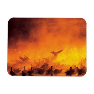 Bosque del Apache National Wildlife Refuge, NM Magnet