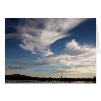 Bosque del Apache, Nouveau-Mexique