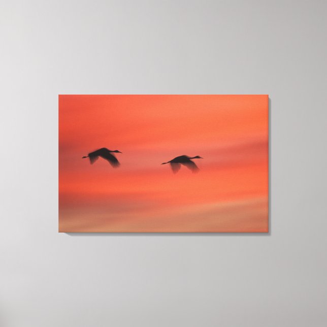 Bosque del Apache Wildlife Refuge | New Mexico Canvas Print (Front)