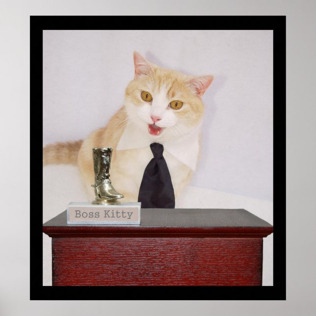 Boss Kitty Poster (Front)