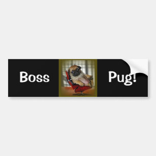 Boss Pug! Bumper Sticker