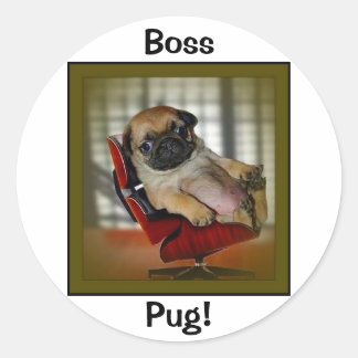 Boss Pug! Classic Round Sticker