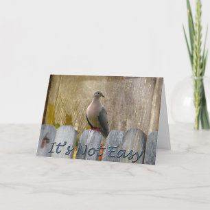 Boss's Day Love Dove Card
