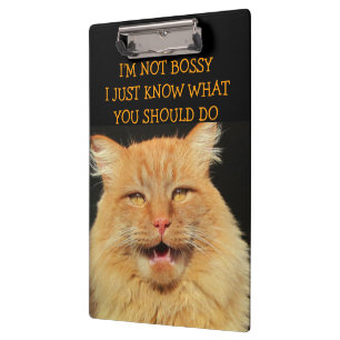 Bossy Cat is being Bossy Clipboard