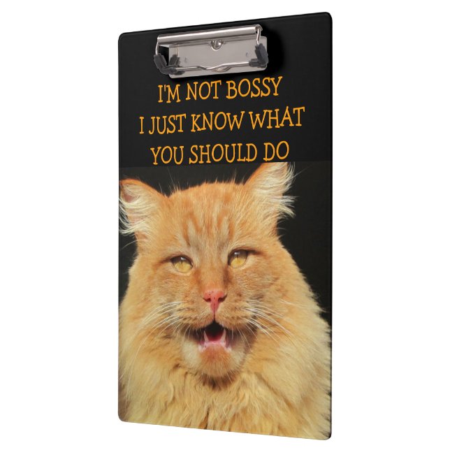 Bossy Cat is being Bossy Clipboard (Left)