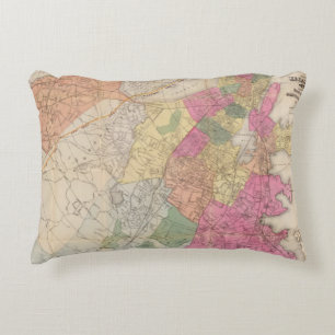 Boston 2 accent pillow