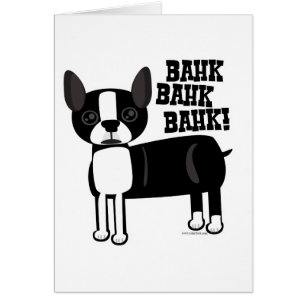 Boston Accent Terrier Fun