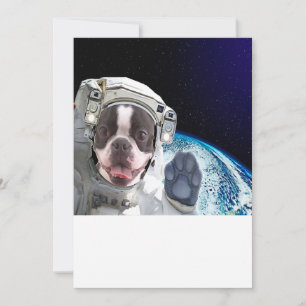 Boston  Boston Gifts   Boston Lover 