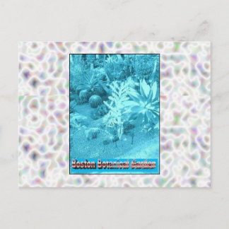 Boston Botanical Gardens Postcard