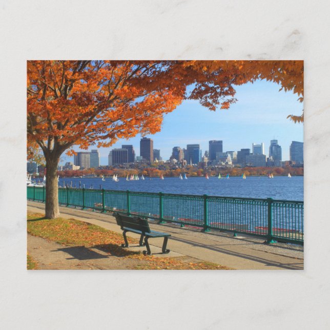 Boston Charles River Autumn Postcard (Front)