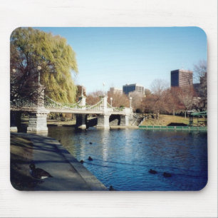 boston common mouse pad
