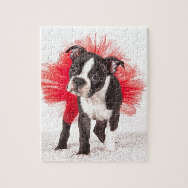 Boston Dancer Jigsaw Puzzle (Vertical)