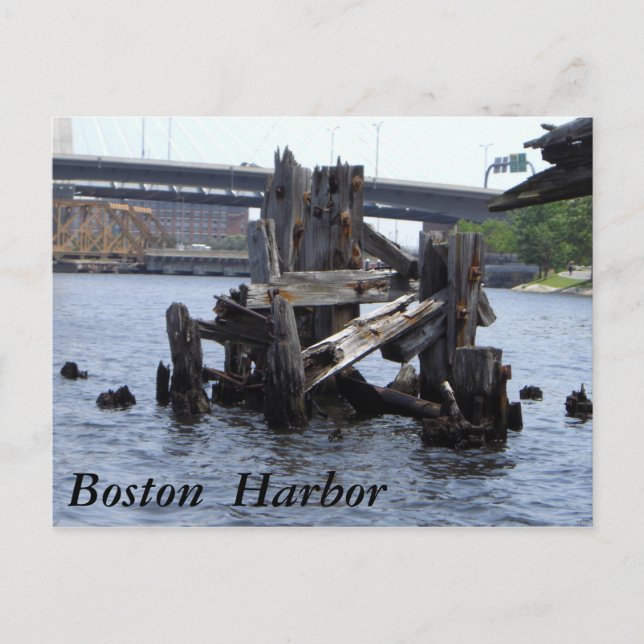 Boston Harbour Postcard (Front)