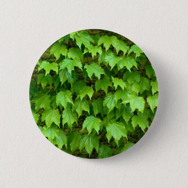 Boston Ivy Badge 2 Inch Round Button (Front)