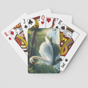 Boston, Mass. Public Garden Swan Player Cards